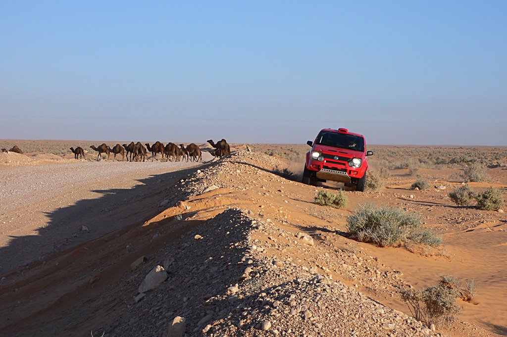 Fiat al Dakar con el Panda 2007