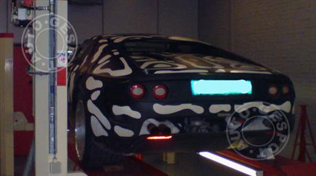 lotus.jpg
