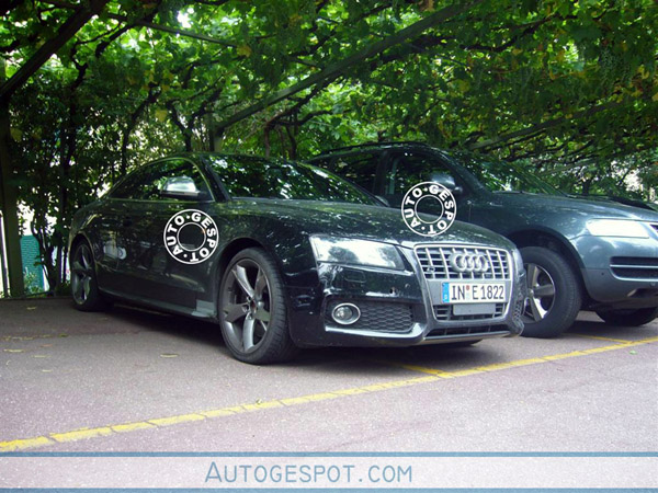 Audi RS5 y RS6 Avant, cazados