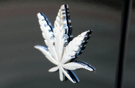 Porsche Cayenne Cannabis