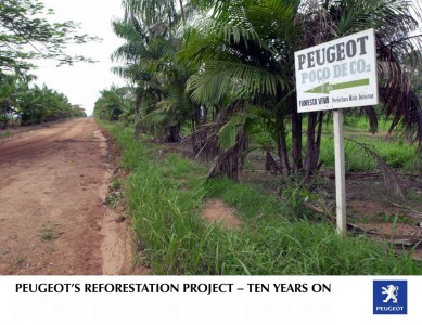 Peugeot celebra el décimo aniversario de su proyecto de reforestación