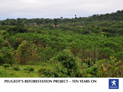 Peugeot celebra el décimo aniversario de su proyecto de reforestación