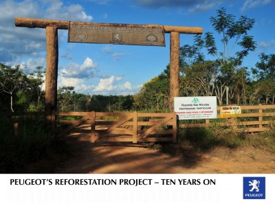 Peugeot celebra el décimo aniversario de su proyecto de reforestación