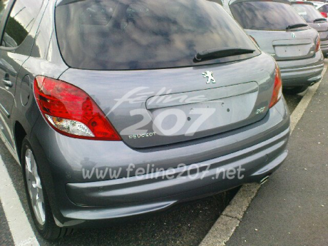 Peugeot 207 restyling, cazado