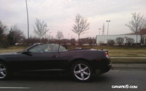 Chevrolet Camaro Convertible, cazado a cielo abierto