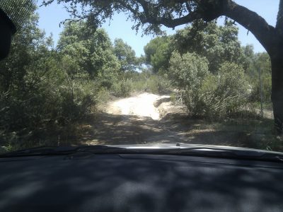 IMG_20110628_130431