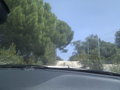 IMG_20110628_130450