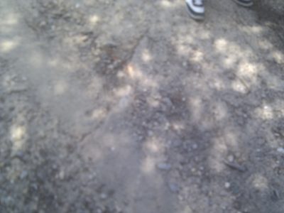 IMG_20110628_132117