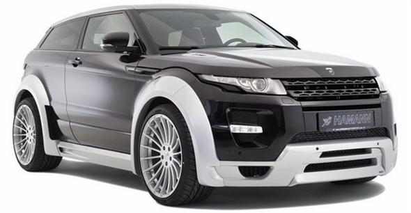 hamann evoque 6