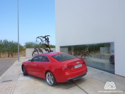 Audi-S5-MotorAdictos (4)