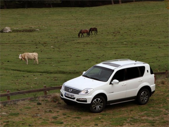 SsangYong Rexton W, precios para España