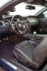 mustang1000004