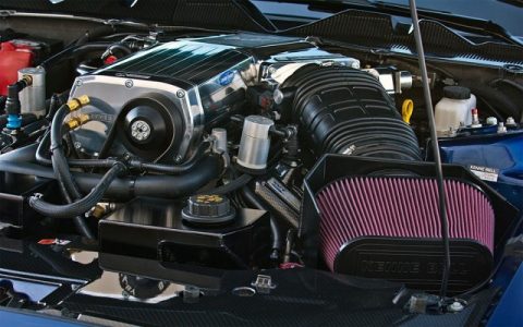 mustang1000005