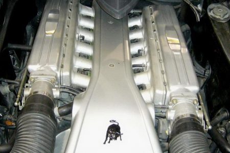 lamborghini-pregunta-21