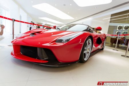 mg_0440