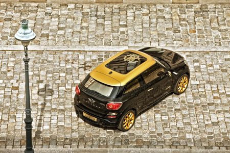 mini-paceman-roberto-cavalli-123