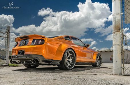 shelby-ma-super-snake-ultimate-5