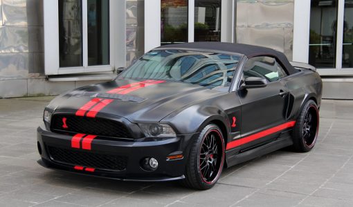 shelby-ma-anderson-germany-1