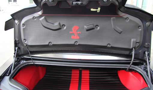 shelby-ma-anderson-germany-15