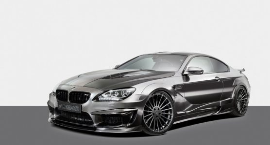 hamann-sjiny-24