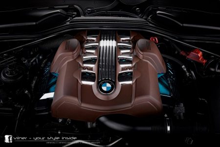 vilner-bmw-bullshark-502