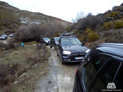 Michelin Alpin frente a sus homólogos de verano: A prueba