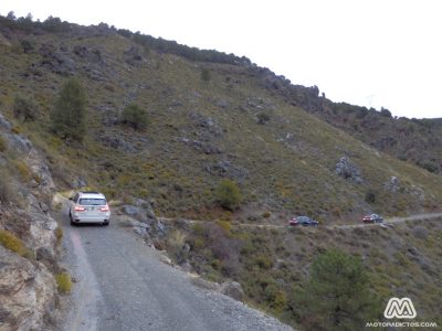 Michelin Alpin frente a sus homólogos de verano: A prueba