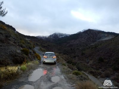 Michelin Alpin frente a sus homólogos de verano: A prueba