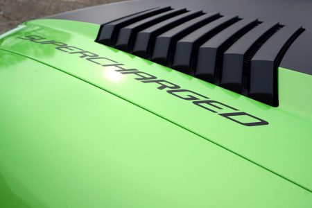 raptor-20