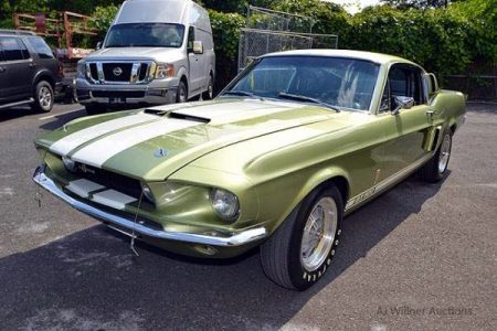 Shelby-1