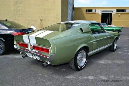 Shelby-2