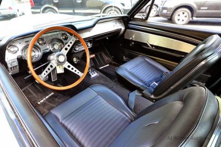 Shelby-3