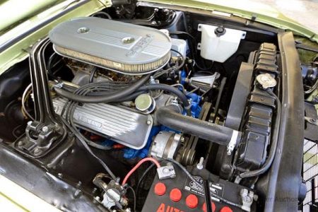 Shelby-4