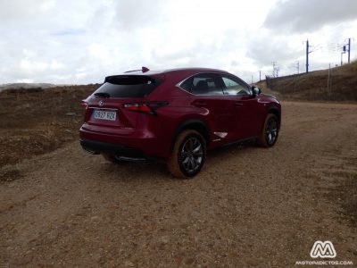 lexus_nx300hPA131121_ma