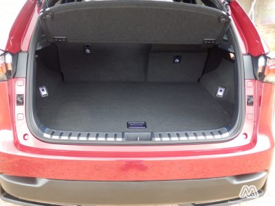 lexus_nx300hPA131124_ma