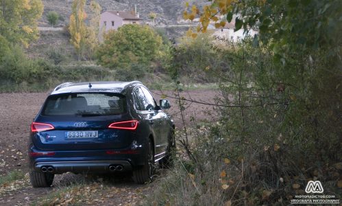 Prueba: Audi SQ5 V6 TDI 313 CV  (equipamiento, comportamiento, conclusión)