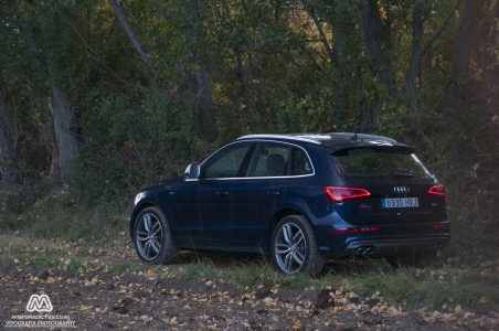 Prueba: Audi SQ5 V6 TDI 313 CV  (equipamiento, comportamiento, conclusión)