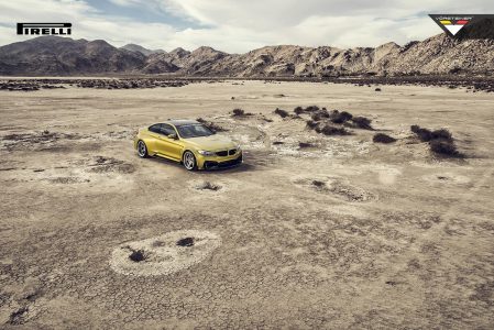 Megagalería de imágenes: BMW M4 GTRS