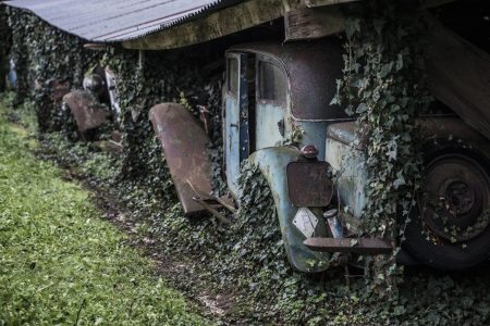 Se encuentra una colección de 100 coches clásicos en una granja de Francia