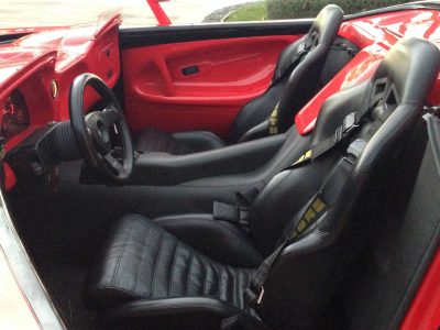 De-Tomaso-Guara-Barchetta-5.jpg