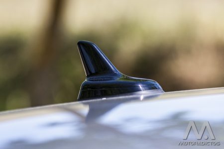 IMG_7007.jpg