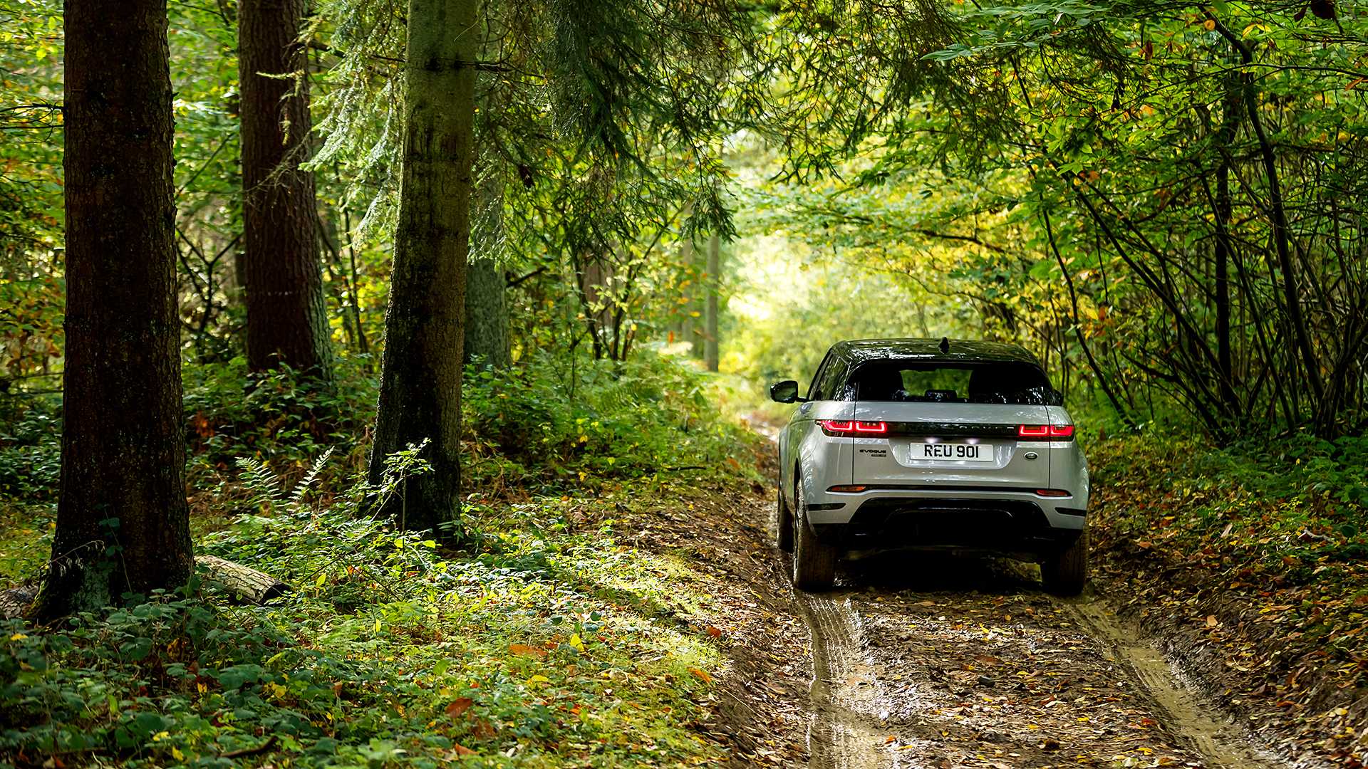 Oficial: nuevo Range Rover Evoque, información y fotos